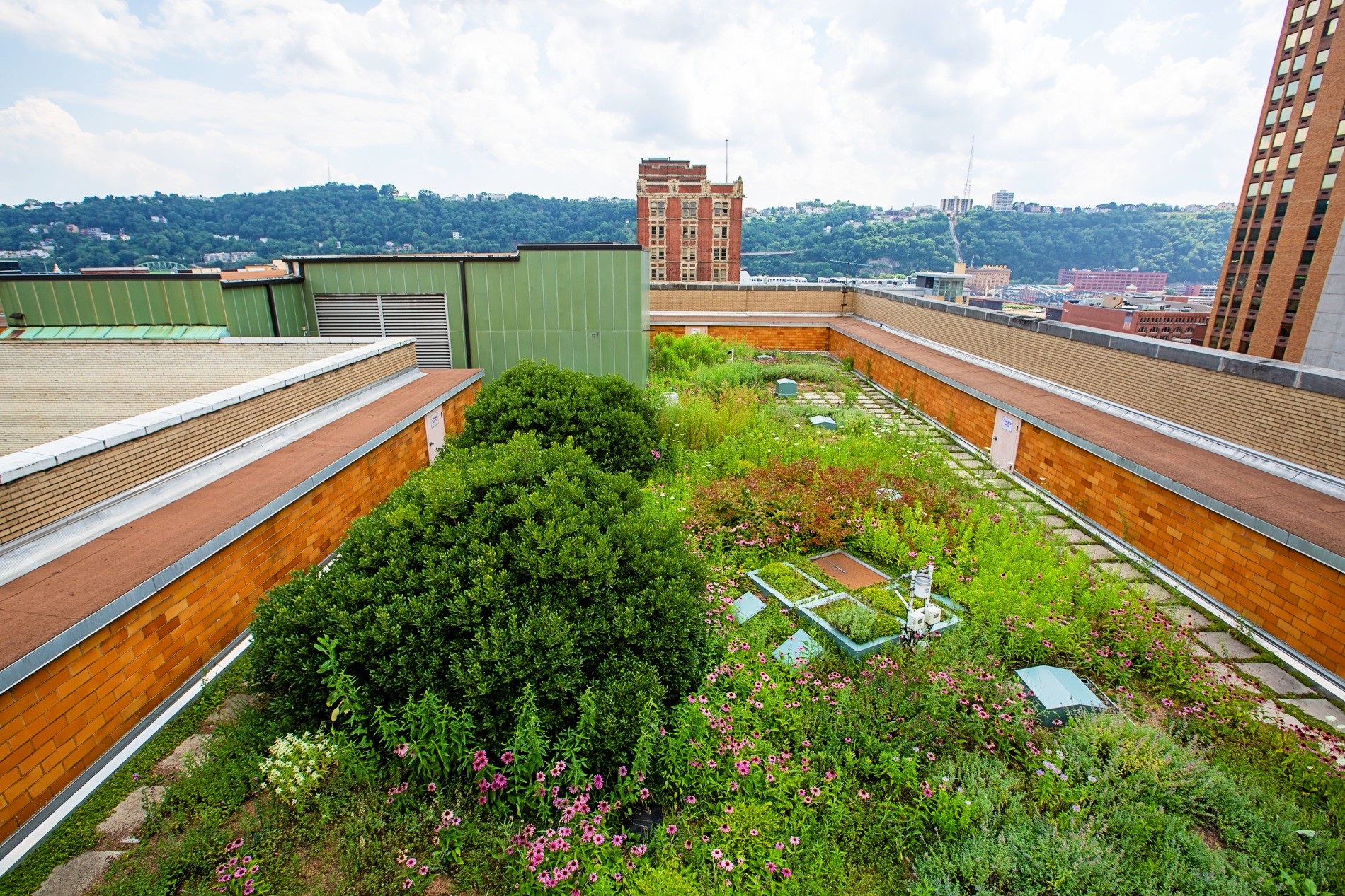 Allegheny County’s Climate Action Working Group