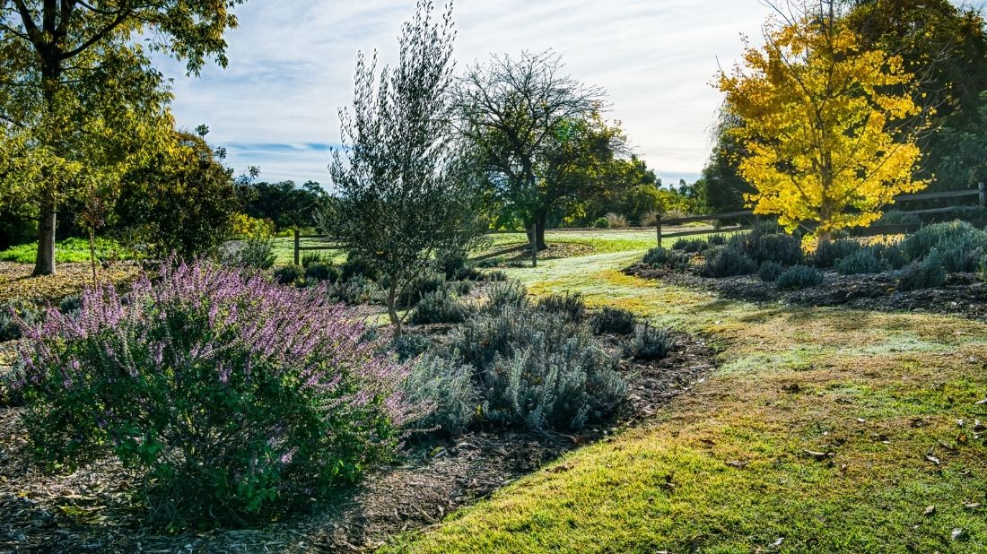 South Coast Botanic Garden - The Climate Toolkit