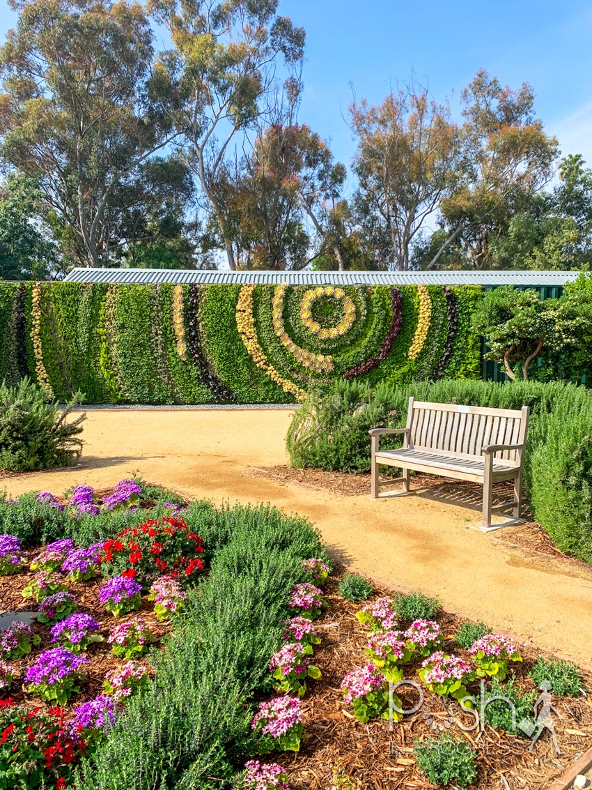 South Coast Botanic Garden
