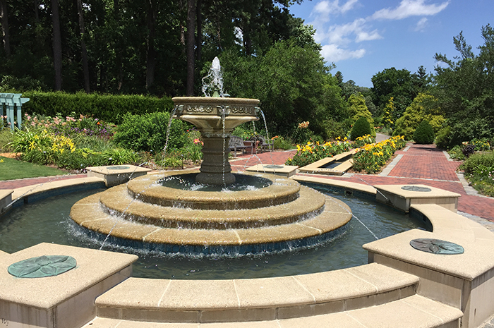 Carbon Emission Reduction: An Interview with Norfolk Botanical Garden