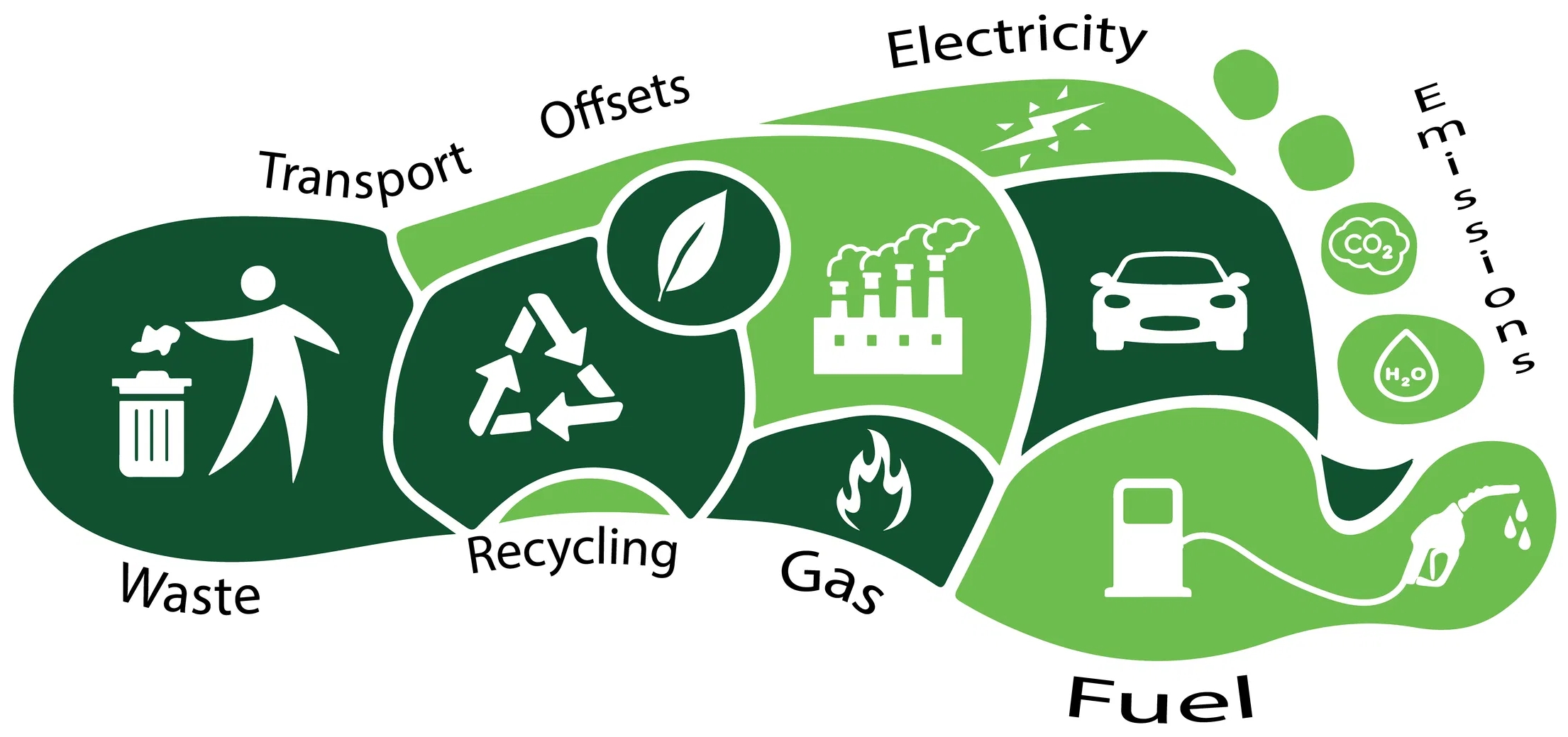 Help Your Guests Track Their Carbon Footprints