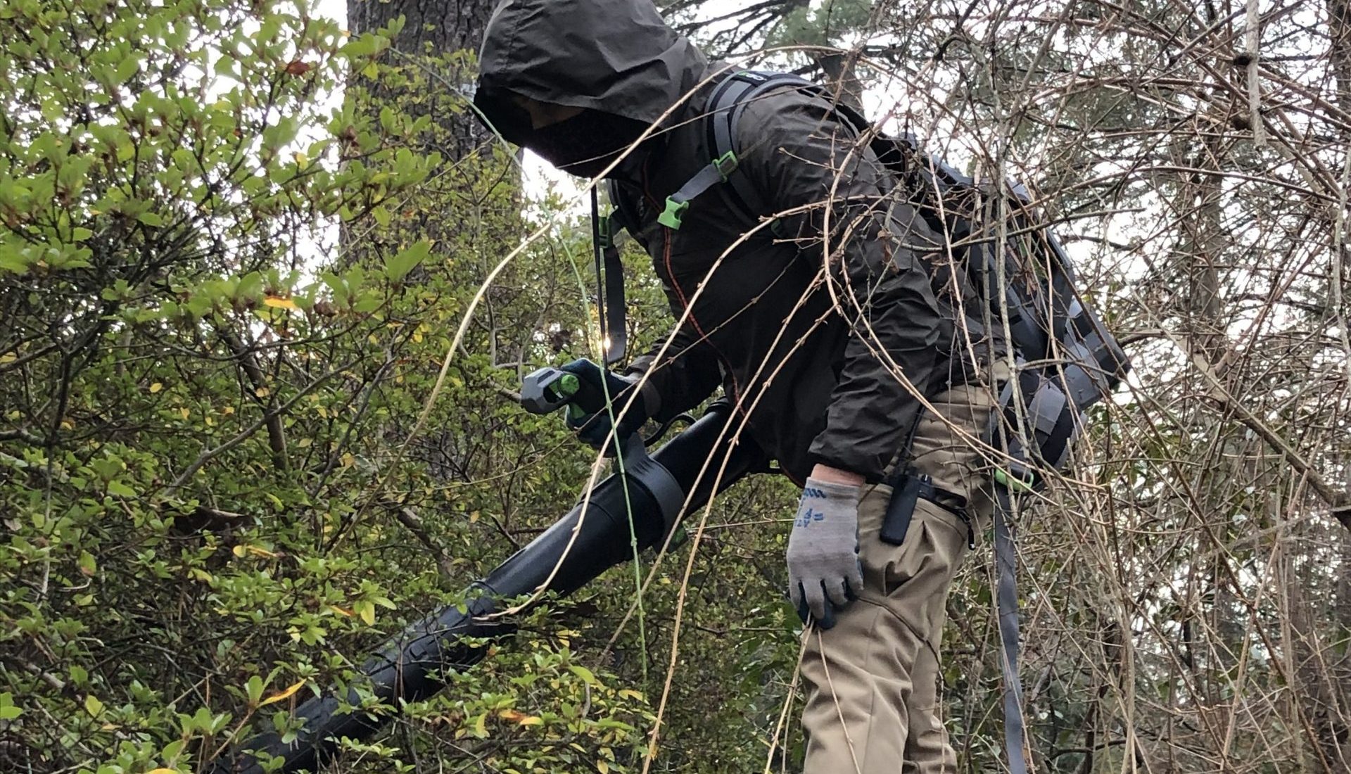 Electric Horticulture Equipment: What We’re Using
