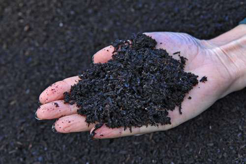 Biochar Research at Morton Arboretum