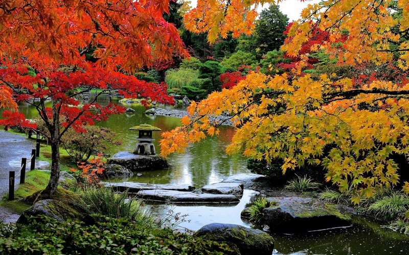 University of Washington Botanic Gardens