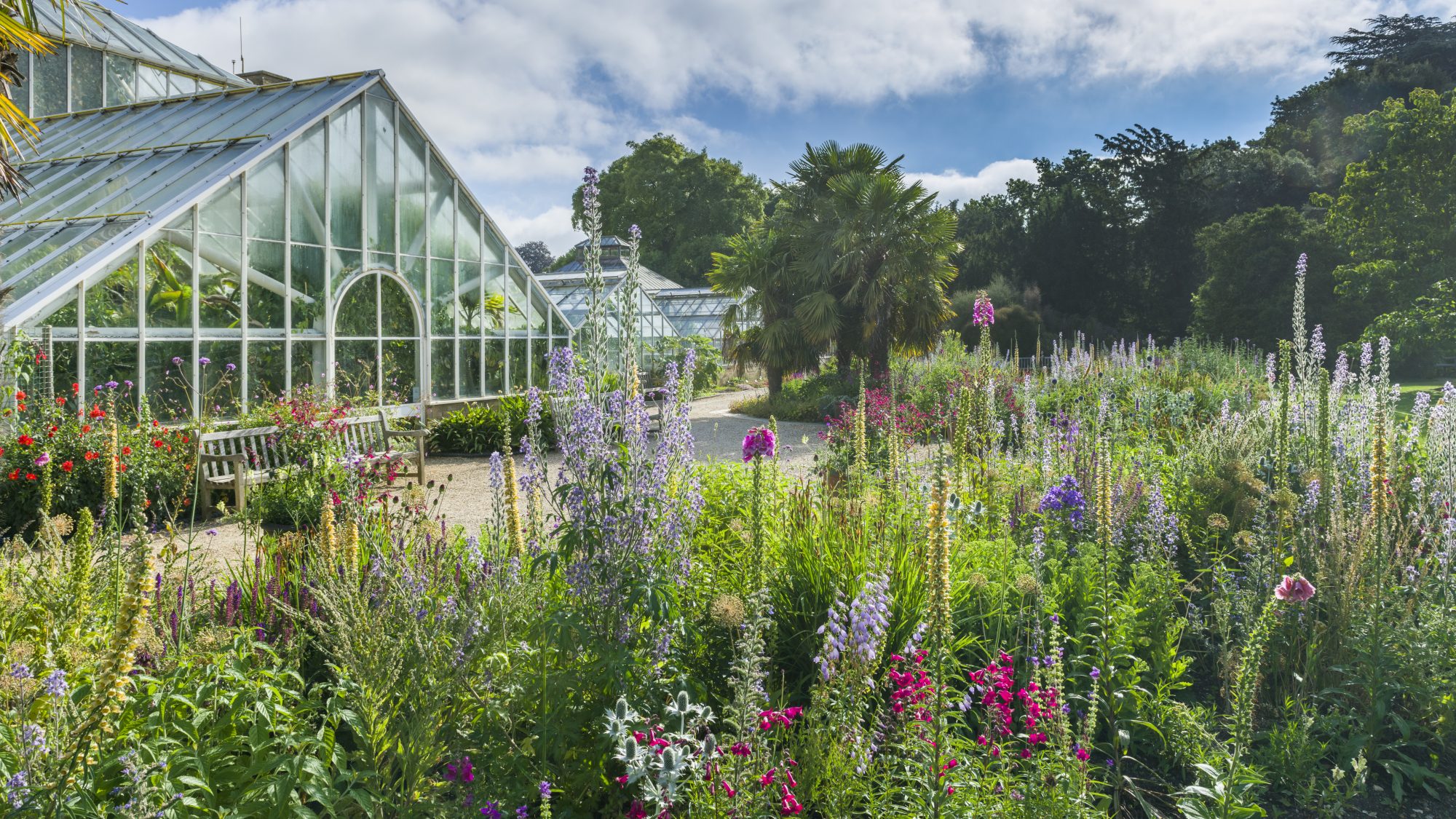Cambridge University Botanic Garden