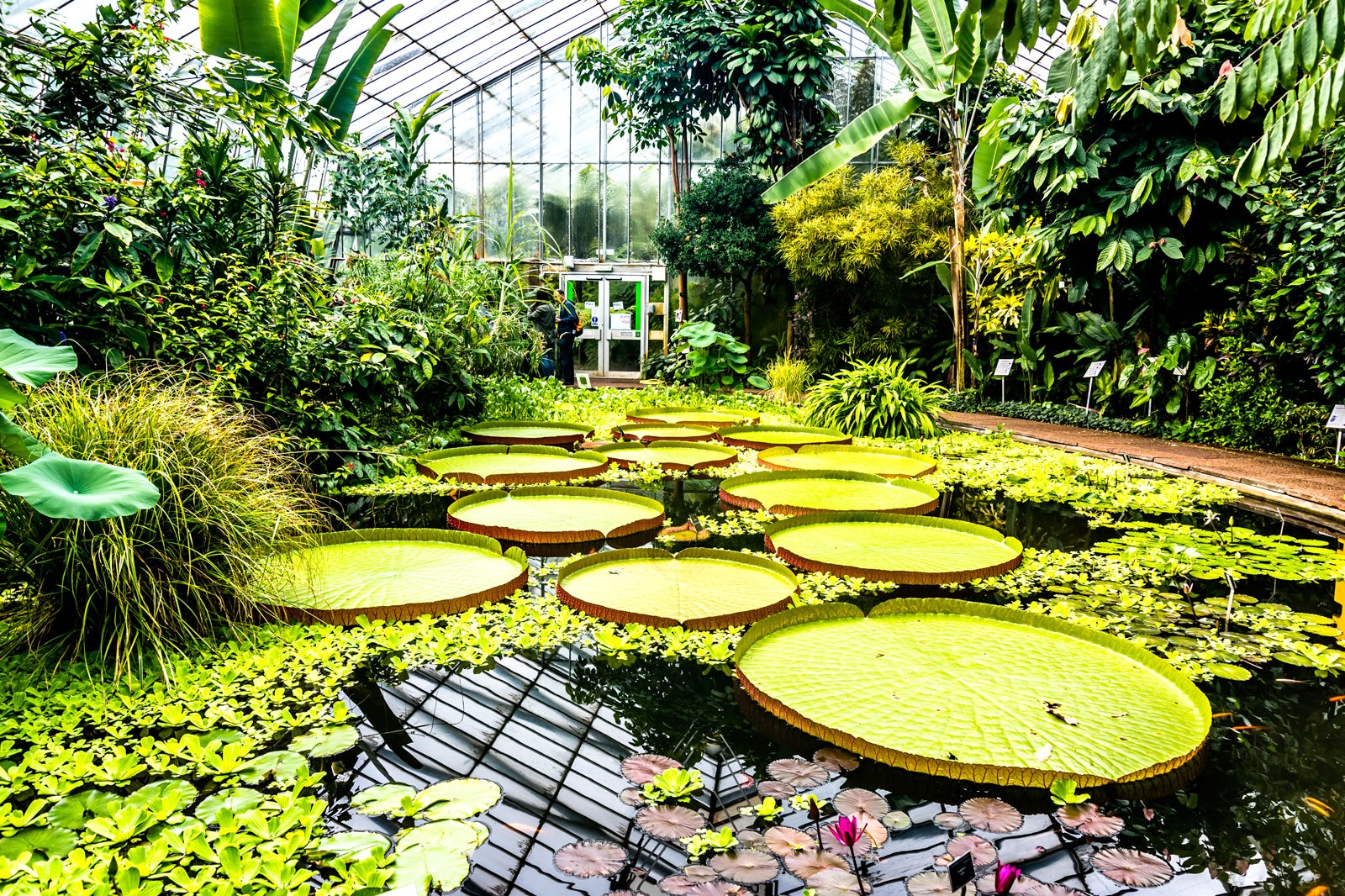 Royal Botanic Garden Edinburgh - The Climate Toolkit
