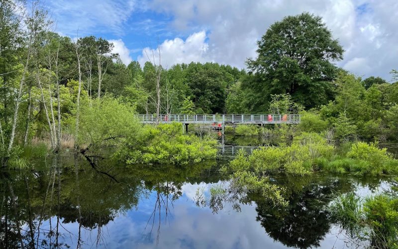 Adkins Arboretum