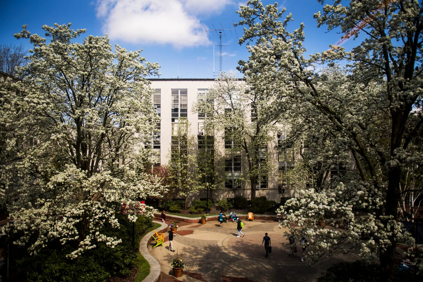 Northeastern University Arboretum