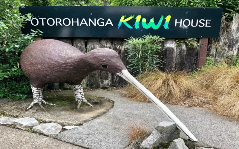 Ōtorohanga Kiwi House & Native Bird Park