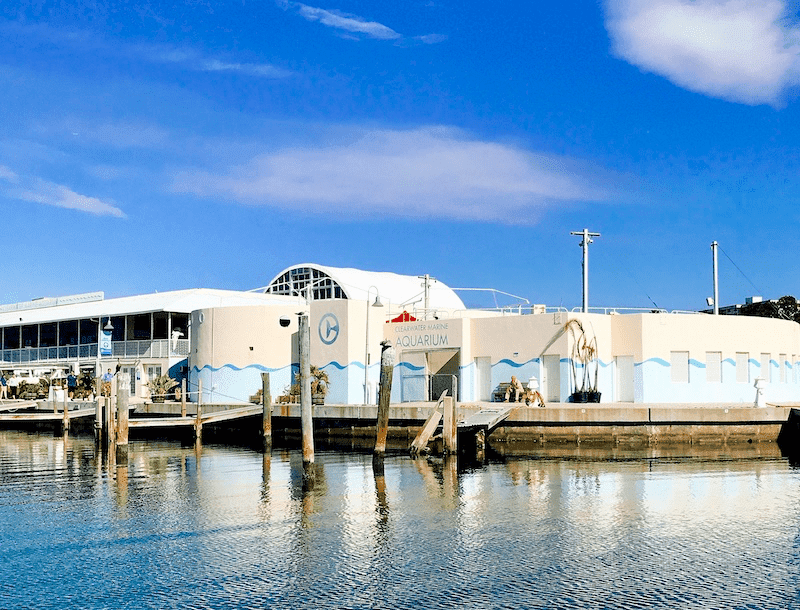 Clearwater Marine Aquarium