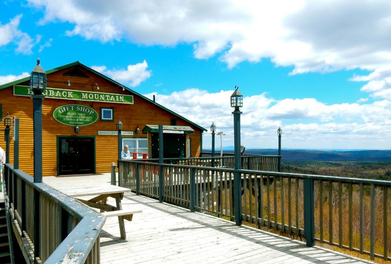 Southern Vermont Natural History Museum