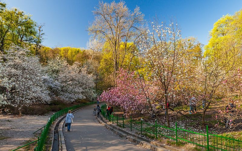 O.V. Fomin Botanical Garden of Taras Shevchenko National University of Kyiv, Ukraine