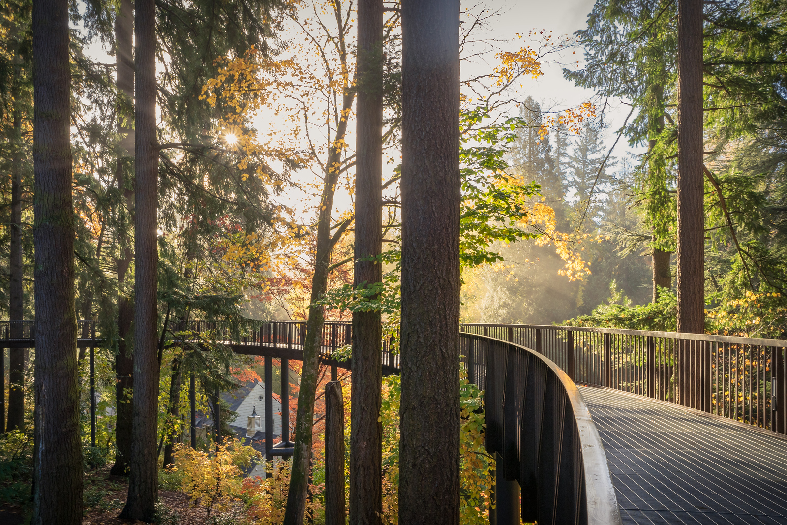 Leach Botanical Garden - The Climate Toolkit