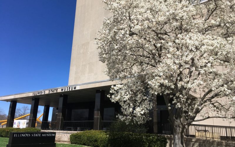 Illinois State Museum