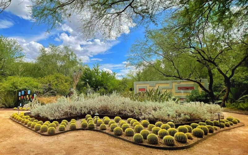 Tucson Botanical Gardens