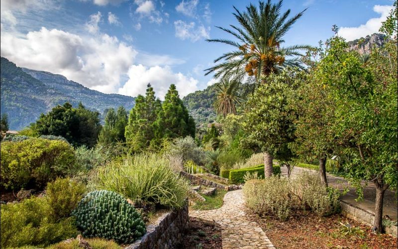 Sóller Botanical Garden / Jardí Botànic de Sóller