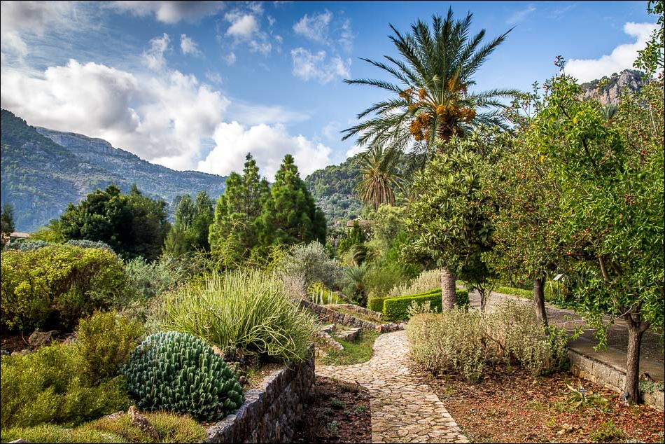 Sóller Botanical Garden / Jardí Botànic de Sóller - The Climate Toolkit