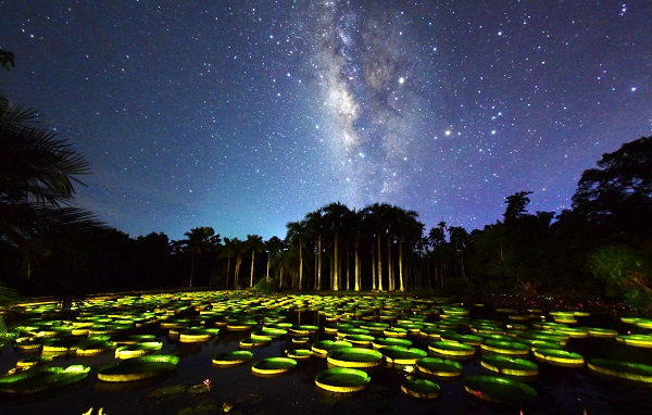 Xishuangbanna Tropical Botanical Garden, Chinese Academy of Sciences