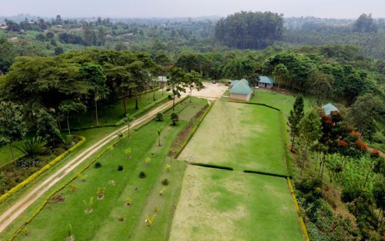 Tooro Botanical Gardens - The Climate Toolkit
