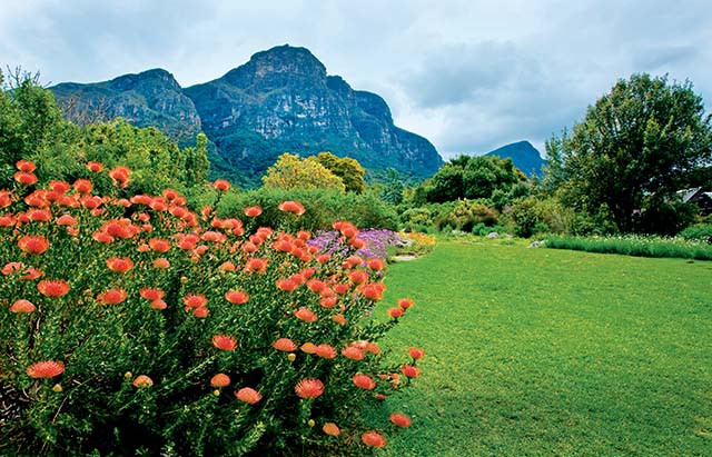 South African National Biodiversity Institute (SANBI)