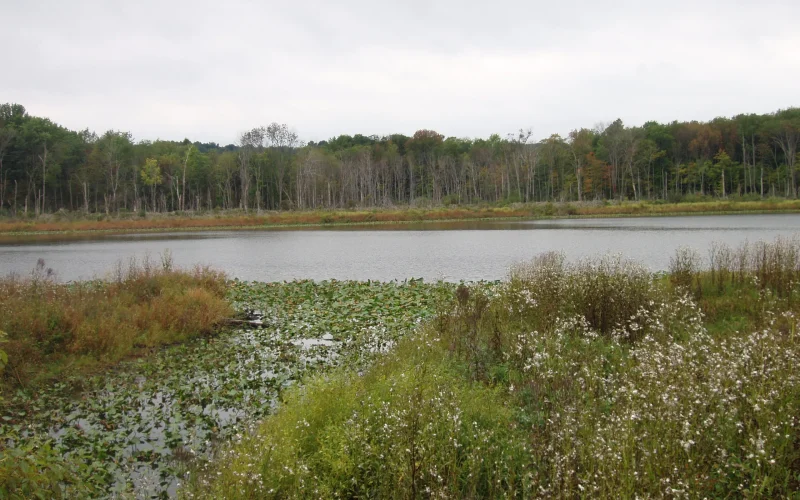 The University of Akron Field Station