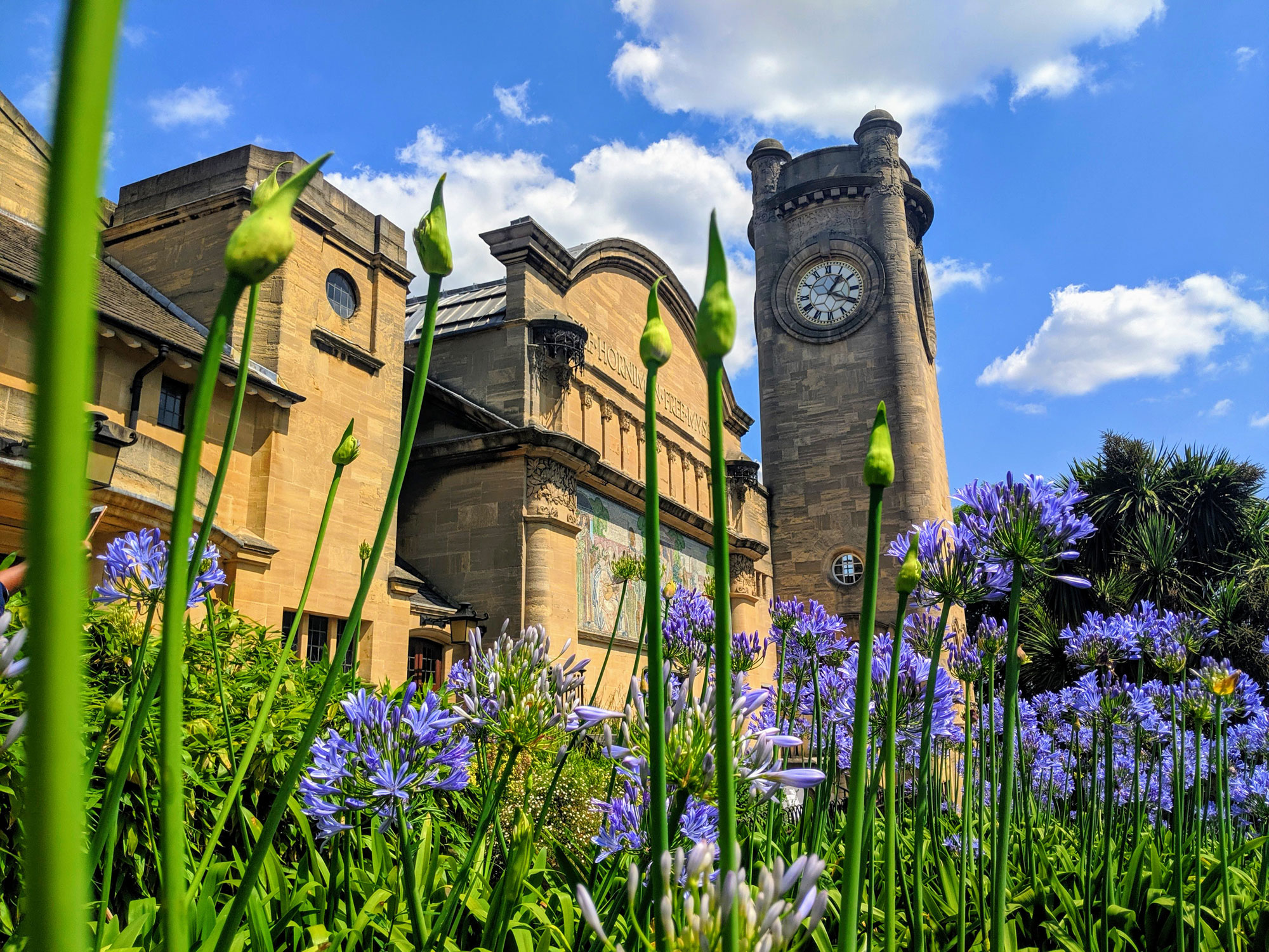 Horniman Museum: A Step Towards Ecological Engagement with Nature + Love Initiative