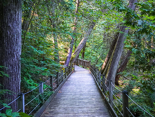 Adirondack Ecological Center of SUNY ESF