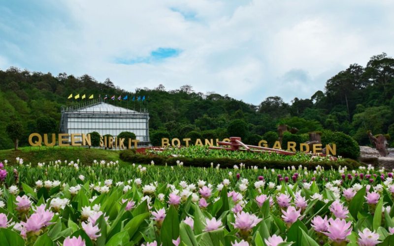 Queen Sirikit Botanic Garden