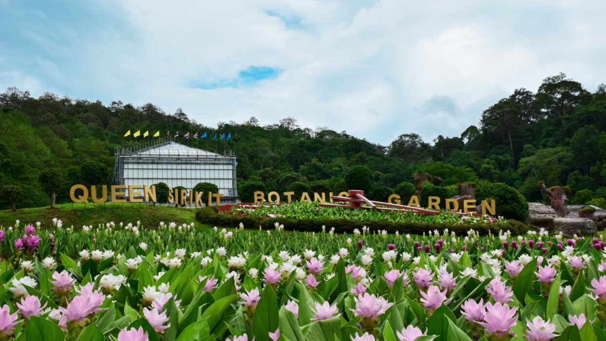 Queen Sirikit Botanic Garden - The Climate Toolkit