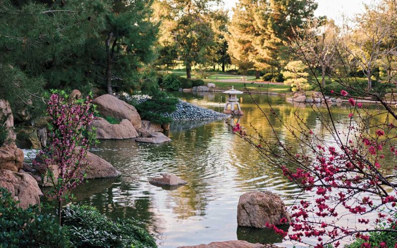 Japanese Friendship Garden of Phoenix