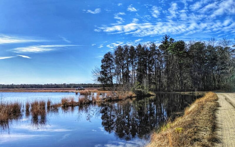 Whitesbog Preservation Trust