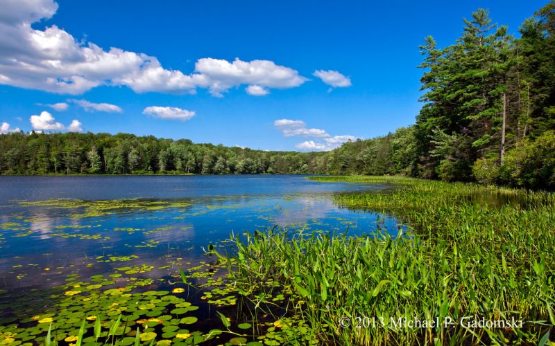 Lacawac Sanctuary Foundation
