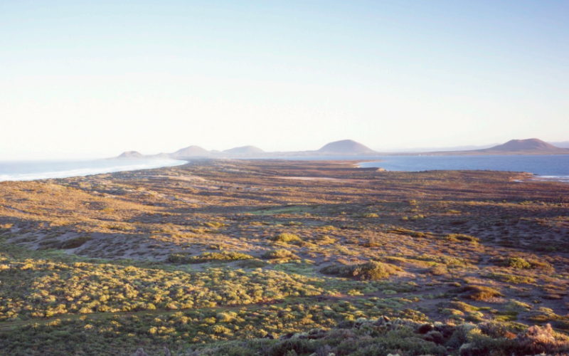 SiempreViva San Quintin