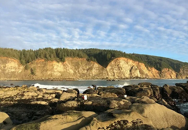 Oregon Institute of Marine Biology / University of Oregon