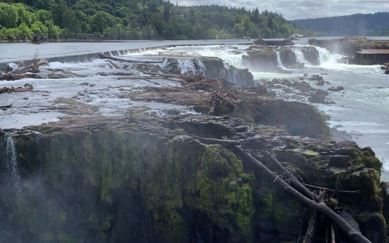 Canemah Nature Laboratory