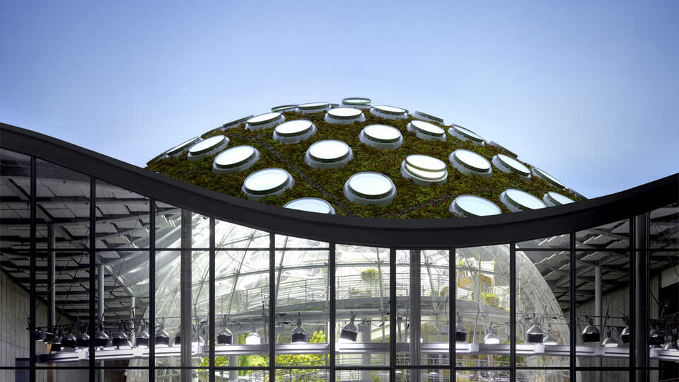 California Academy of Sciences: Regenerating the Natural World Through Science, Learning, and Collaboration