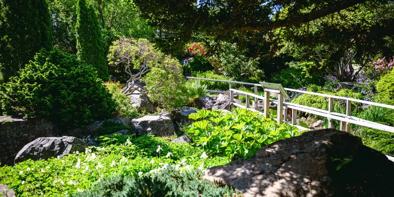Climate Collective – Memorial University’s Botanical Garden