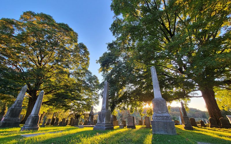 Laurel Hill