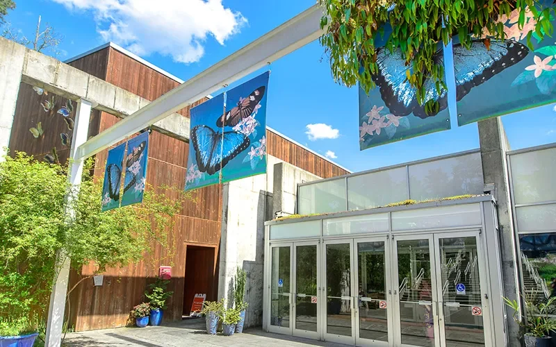 Museum of Life and Science