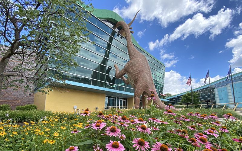 The Children’s Museum of Indianapolis